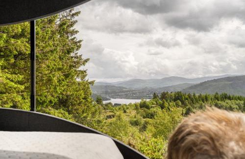 Asane House | Birdbox Bergen