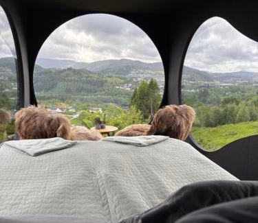 Asane House | Birdbox Bergen