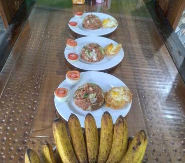 Bitung House | Birdhouse Homestay Tangkoko