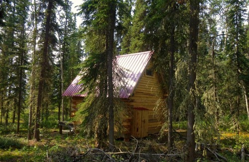 Marsh Lake Cabin | Birdhouse/Off-the-grid Cabin, Marsh Lake, YT