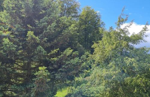 Darstein House | birds-nest Ferienhaus Balkon Waldblick Kamin