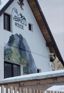 Petrosani House | Birdshouse Parang