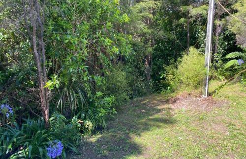 Parapara House | Birdsong Retreat