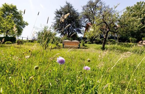 Loipersdorf bei Fuerstenfeld House | Birkenhof Loipersdorf