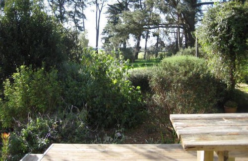 Birregurra House | Birregurra Escape Private Getaway. 2acre property close to Brae and Lorne