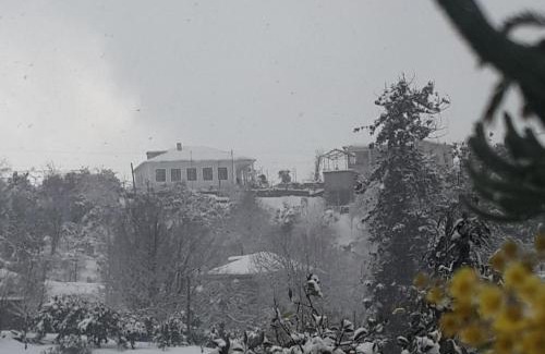 Khelvachauri House | BIS-A Guesthouse