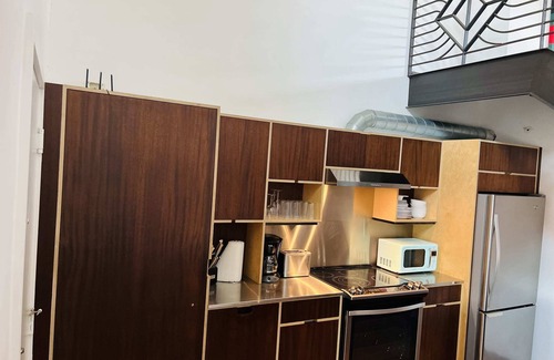 Kessler Apartment | Bishop Arts Hotel Penthouse Suite 8