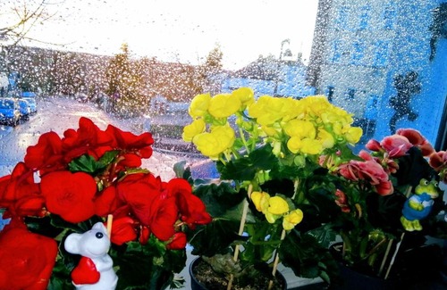 Pirmasens Apartment | Bismarck Apartment