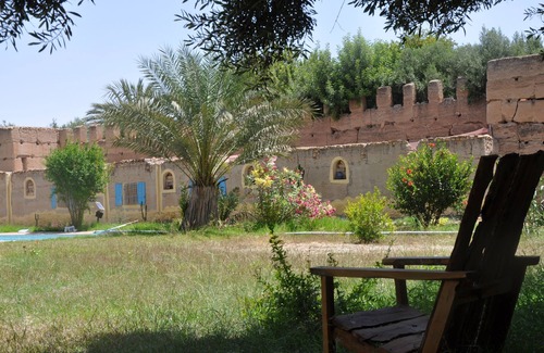 Ouijjane Other | Bivouac Sous les palmiers bleus