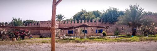 Ouijjane Other | BIVOUAC Sous Les Palmiers Bleus