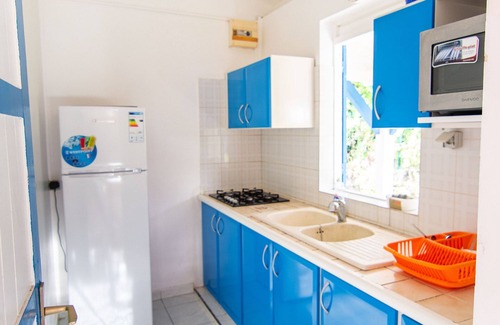 Capesterre-de-Marie-Galante House | Blue or yellow hummingbirds