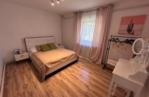 Zrenjanin Apartment | Black and Ginger Residence