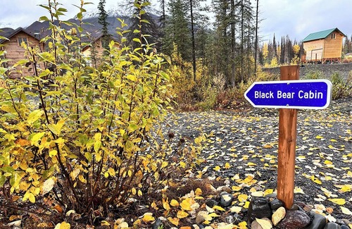 Denali Cabin | Black Bear, Black Bear Lakefront Cabin