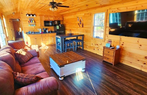 Greenville Apartment | Black bear cabin* Direct Snowmobile Access* Wildlife Viewing
