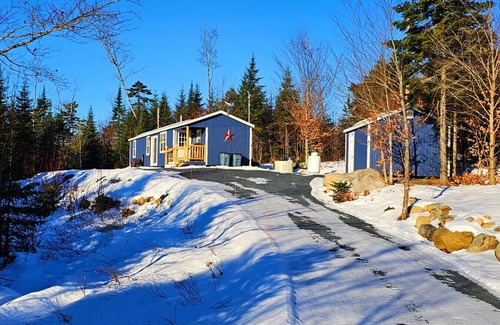 Greenville Apartment | Black bear cabin* Direct Snowmobile Access* Wildlife Viewing