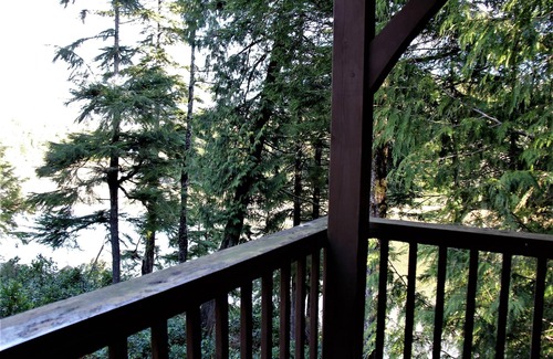 Ucluelet House | Black Bear Cottage