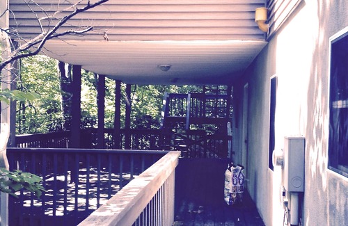 Black Mountain House | Black Bear Retreat for all seasons. Book Spring now and Save 10%.