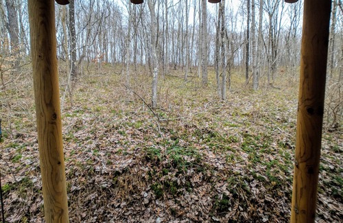 McArthur Cabin | Black Bear Retreat in Hocking Hills minutes from ash cave