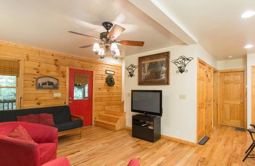 Skyland Cabin | Black 'Beary' Cabin an incredible vacation retreat