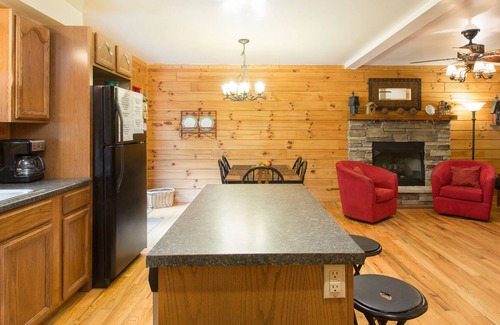 Skyland Cabin | Black 'Beary' Cabin an incredible vacation retreat