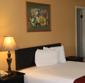 Montrose Hotel | Black Canyon Motel
