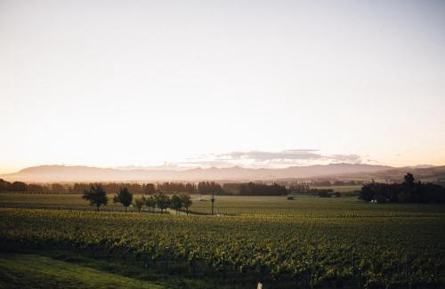 Waipara Bed & Breakfast | Black Estate B & B