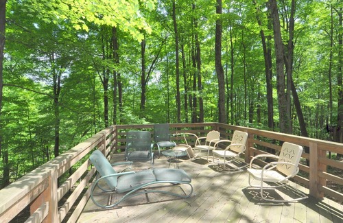 Berkeley Springs Cabin | Black Forest - 5 Bedroom Escape