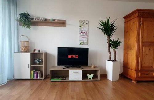 Schonach im Schwarzwald Apartment | Black Forest Schwarzwaldliebe Pool Sauna Tennis Tischtennis Wifi Netflix Natur