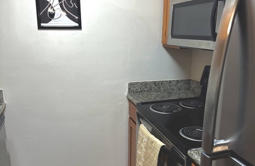 Tougaloo Apartment | Black Luxe apartment /w balcony