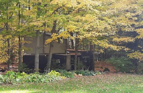 Milton House | Black Pine Tree House