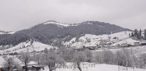 Stulpicani Villa | Black Valley House