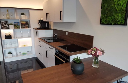 Gotteszell Apartment | Black&White luxury apartment with sauna and sunny terrace