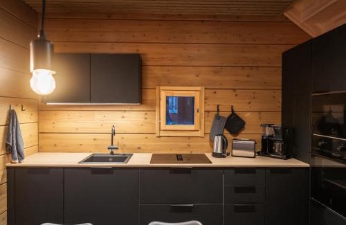 Sirkka Ski Chalet | Black Work Levi Aapa