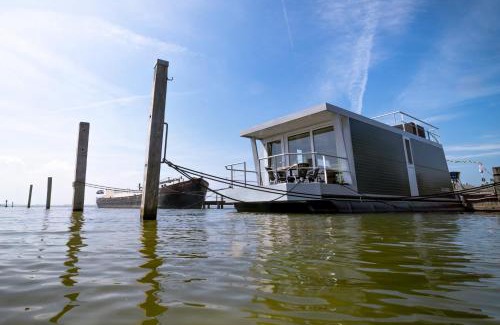Biddinghuizen Boat Rental | Blackbird
