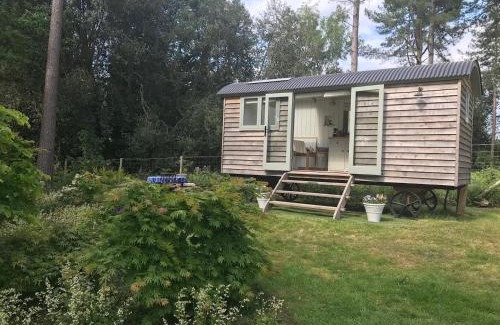 Chilworth Other | Blackdown shepherds hut