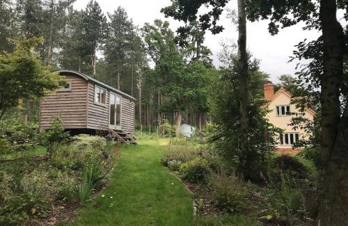 Chilworth Other | Blackdown shepherds hut