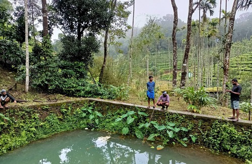 Mananthavady House | Blackhole Farms & Retreats - Tree House