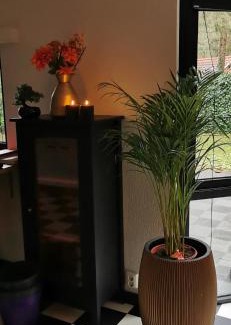 Hattemerbroek Apartment | BlackPearl Chalet Hattemerbroek