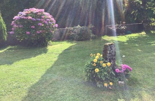 Inishmacatreer Bed & Breakfast | Blakehill House