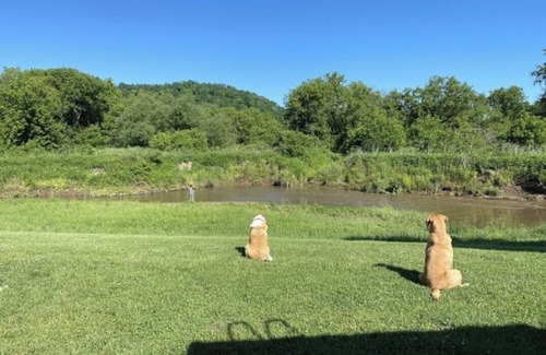 Viroqua RV Rental | Blakley Hobbit Campground-Tent spot #7