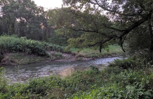 Viroqua RV Rental | Blakley Hobbit Campground-RV spot #1