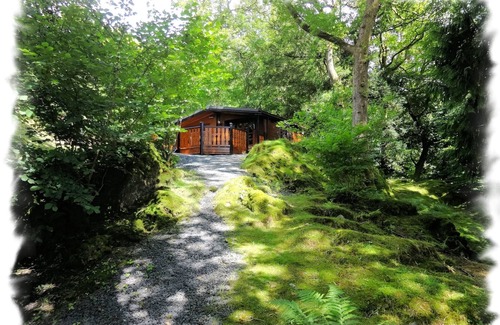 Elterwater Cabin | Blelham Tarn (Rustic yet modern cabin in tranquil woodland with own EV charger)