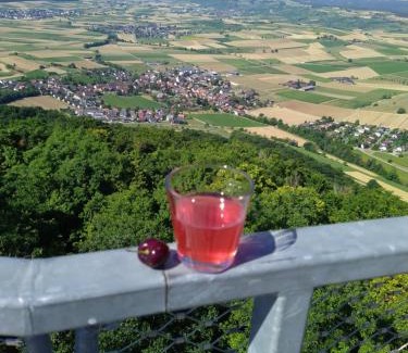 Wutoeschingen Apartment | Blick ins Wutachtal