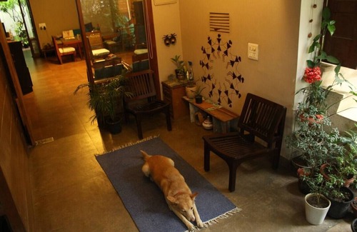 Green Park Apartment | Bliss - A cheerful room and workplacen