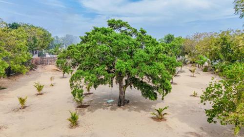 Pottuvil Villa | Bliss Yoga cottage & Shala Arugam Bay