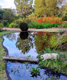 Elgin House | Blissful Country Garden King Bed Cottage