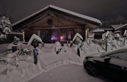 Sankt Englmar House | Blockhütte