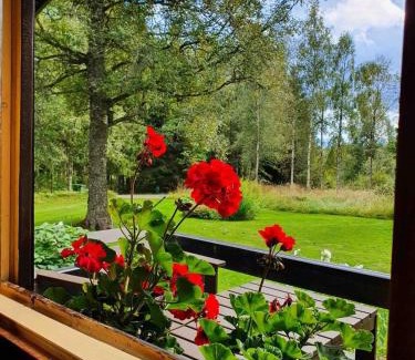 Ulricehamn House | Blockhütte in Alleinlage