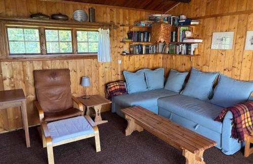 Skillingsfors House | Blockhütte Ratzeputz