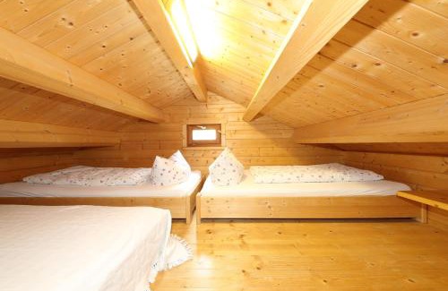 Bad Faulenbach Ski Chalet | Blockhaus Säuling - Haus Elise Apartments